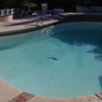Bowling Green Kentucky County Park Swimming Pool and Spa Resurfacing